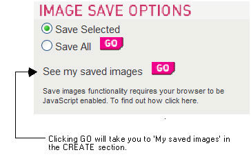 Fig 03: Image save options